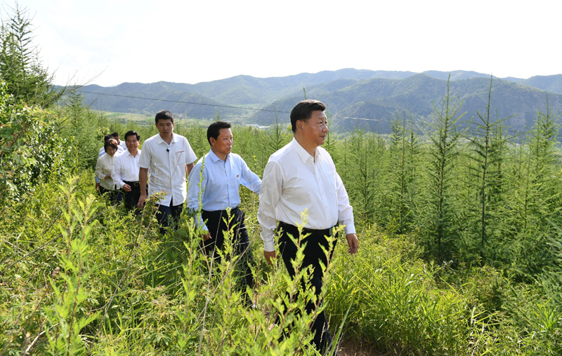 7月15日至16日，中共中央總書(shū)記、國(guó)家主席、中央軍委主席習(xí)近平在內(nèi)蒙古考察并指導(dǎo)開(kāi)展“不忘初心、牢記使命”主題教育。這是15日下午，習(xí)近平在赤峰市喀喇沁旗馬鞍山林場(chǎng)林區(qū)，沿著崎嶇的護(hù)林小道察看林木長(zhǎng)勢(shì)。